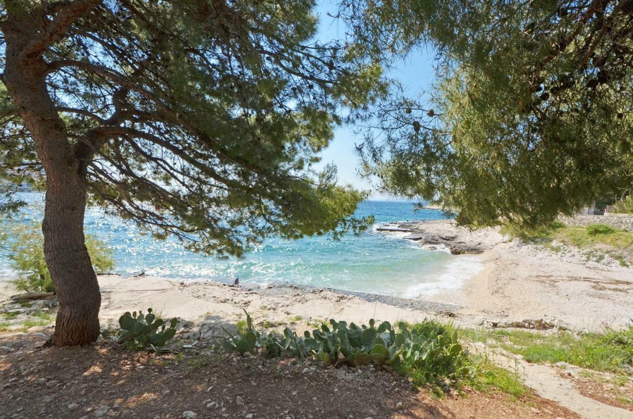 Apartment House Juretic - 50 M From The *